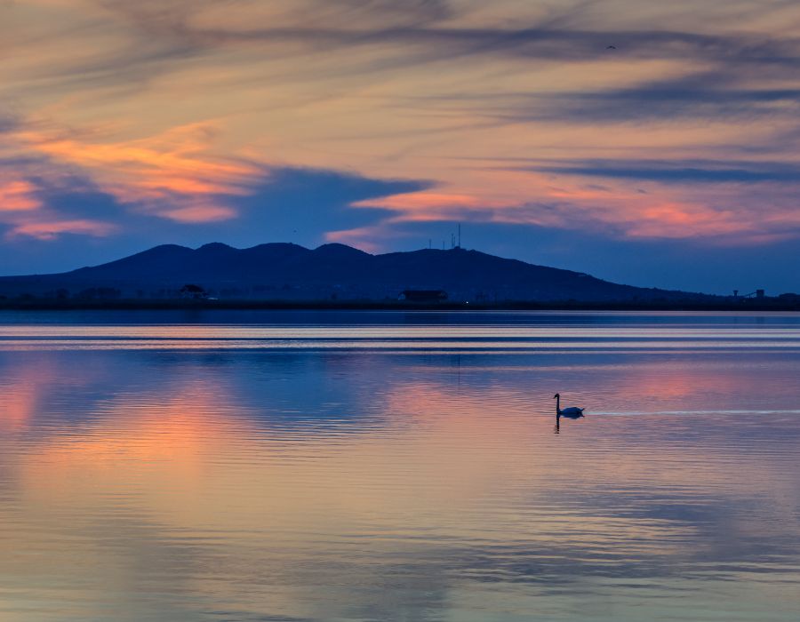 How to Heal from Emotional Trauma Without Feeling Overwhelmed